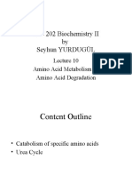 BIO 202 Biochemistry II by Seyhun YURDUGÜL: Amino Acid Metabolism II: Amino Acid Degradation