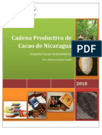 Cadena Productiva de Cacao de Nicaragua