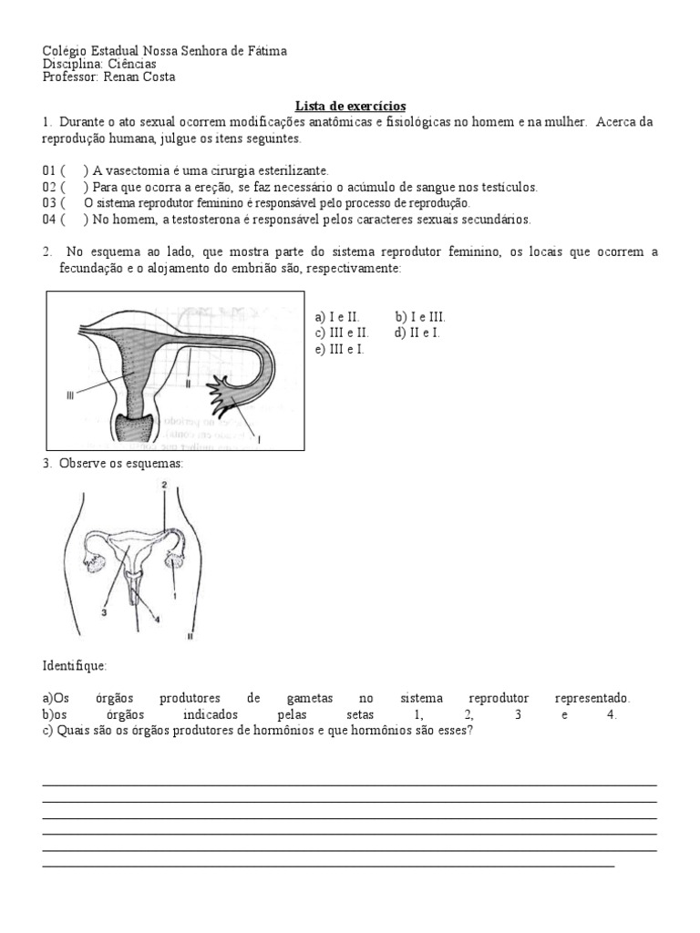 Exercícios sobre Sistema Reprodutor Feminino | PDF | Sistema ...