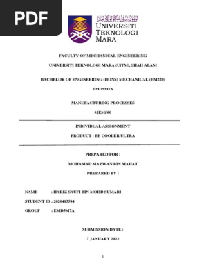 INDIVIDUAL ASSIGNMENT MEM560