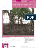 Growth and Development: Stonewall Trees