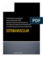 SISTEMA MUSCULAR (Modo de Compatibilidade)