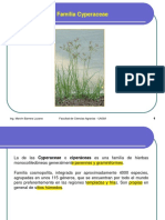Tema 9. Familia Cyperaceae