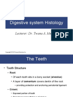 Digestive System Histology: Lecturer: Dr. Twana A. Mustafa