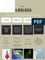 Áreas de La Biologia