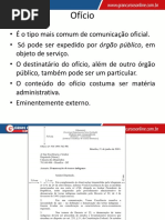 Estrutura do Requerimento Oficial | PDF
