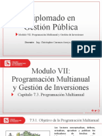 Capítulo 7.3 Programación Multianual