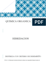 Hibridacion