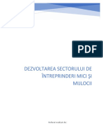 Proiect Economia Intreprinderilor Mici Si Mijlocii