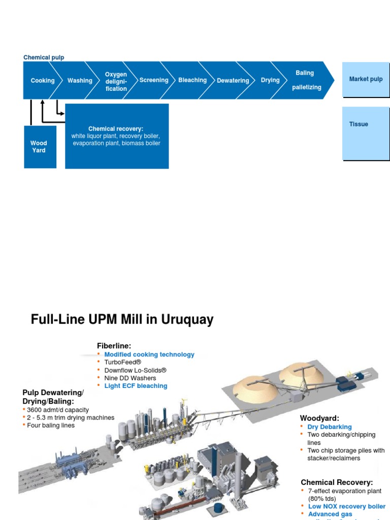 Pulp Mill Training PDF Boiler Incineration