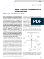 Synthesis of Pyremidin Nucleotide in Pre Biotic Condition