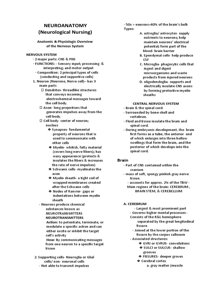 Overview of Neuroanatomy and Functions | PDF | Neuron | Central Nervous ...