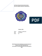 Alfaridzi Tri Mahendra - J410180007 - Laporan Praktikum Ergonomi Manual Handling