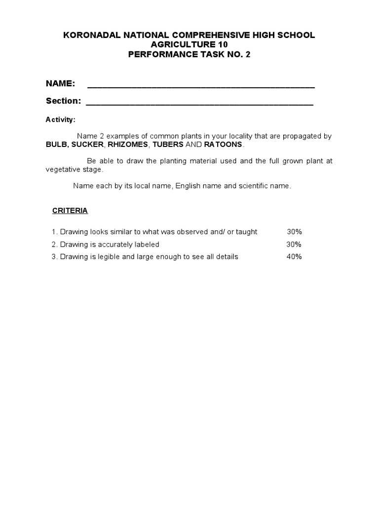 Performance Task 2nd | PDF | Home & Garden