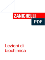 Il Metabolismo Differenziato Delle Cellule Del Nostro Corpo - Approfondimento Mio