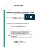 Fungal Biodeterioration of Paper