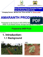 Amaranth Production: Prepared by SHEP PLUS