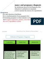 Pregnancy Diagnosis Methods in Cattle