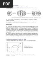 Lista de Mitose e Meiose Comentada 1