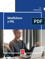 Mindfulness - y - PRL - BVCM050240