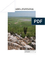 Conservação do Cerrado e Pantanal