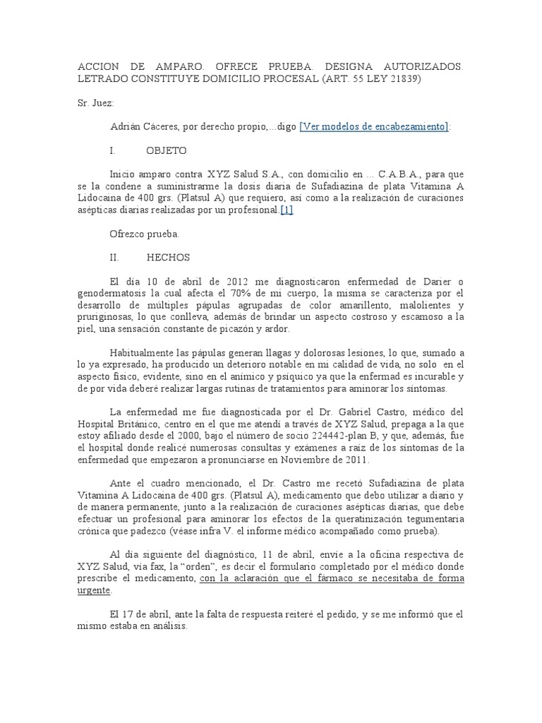 Modelo Accion de Amparo | PDF | Demanda judicial | Ley procesal