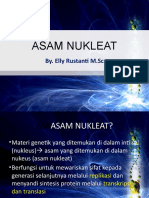 Asam Nukleat