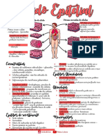 1- TECIDO EPITELIAL