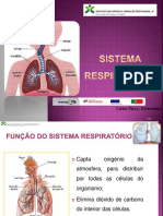 UFCD 6566_respiratório
