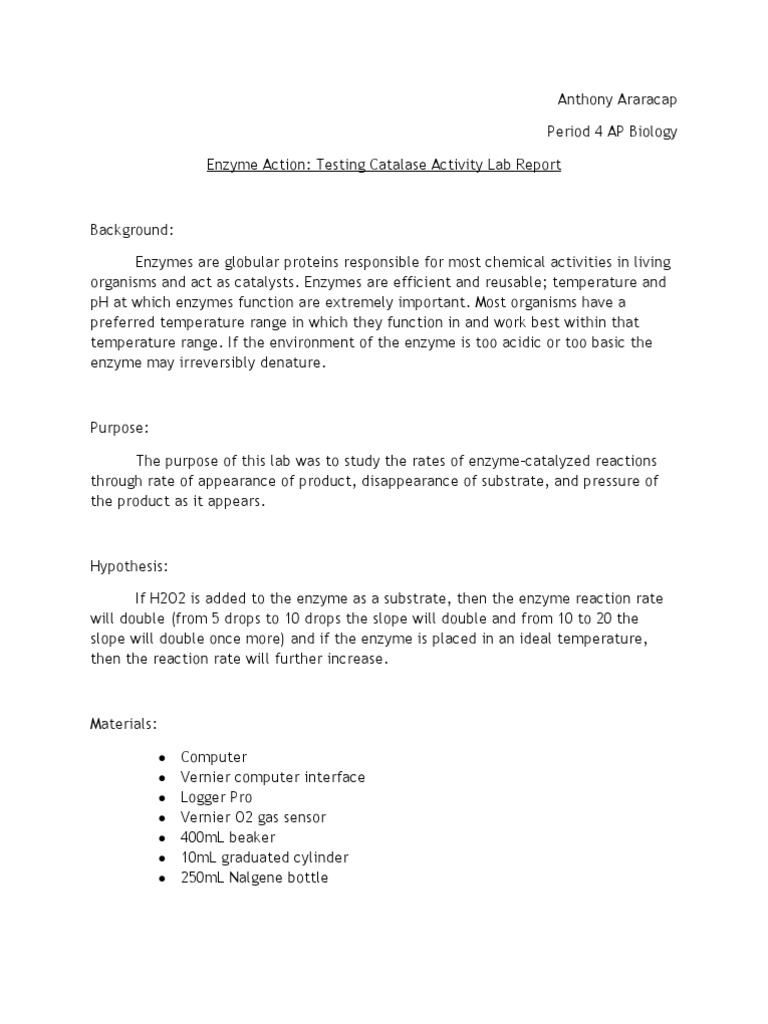 Реферат: Enzyme Action Testing Catalase Activity Essay Research