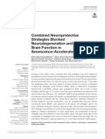 Combined Neuroprotective Strategies Blocked Neurodegeneration and Improved Brain Function in Senescence-Accelerated Mice