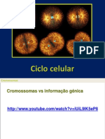 4. U5 Cap.5.2. ciclo celular.pptx