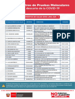 Pruebas Moleculares (1).PDF