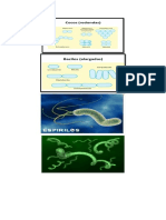 Fotos Ciencias