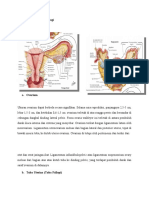 anatomi, fisiologi, histologi sistem reproduksi terkait, Epidemiologi KTD, faktor risiko terjadinya KTD