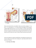 Anatomi, Fisiologi, Histologi Sistem Reproduksi Terkait, Epidemiologi KTD, Faktor Risiko Terjadinya KTD