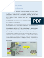 Fisiopatologia Del Dolor, Resumen