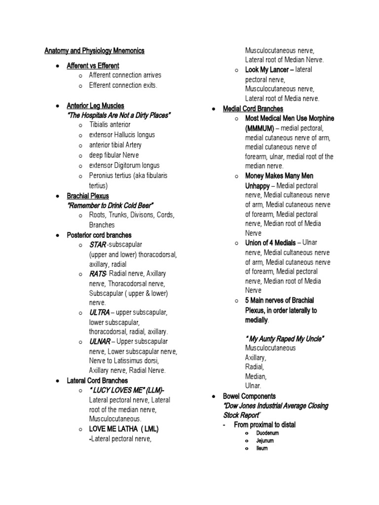 Anatomy and Physiology Mnemonics PDF Arm Neuroanatomy