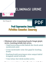 Eliminasi Urine