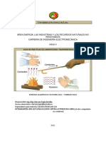 PRACTICA02_Tcalor (1)-convertido (3)