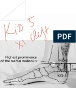 XI CLEFT POINT