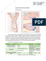 Tugas Rangkuman Kuliah Farmakologi Obat Proton Pump Inhibitor Fery Adiansah - 1910015009