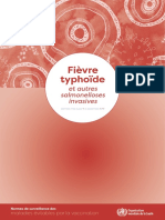 Typhoid e