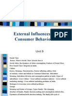 External Influences On Consumer Behaviour: Unit 5