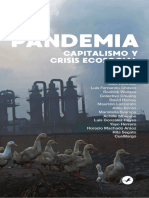 Pandemia. Capitalismo y Crisis Ecosocial 4
