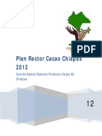 PR Cacao Chiapas 2012