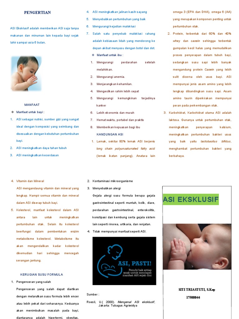 Leaflet Asi Eksklusif New | PDF