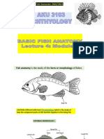 Fish Anatomy and Physiology Guide