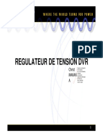03 Regulateur de Tension DVR