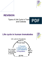 Revision: Types of Life Cycle in Trematoda and Cestoda